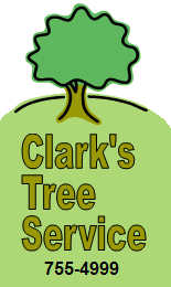 Clark’s Tree Service
